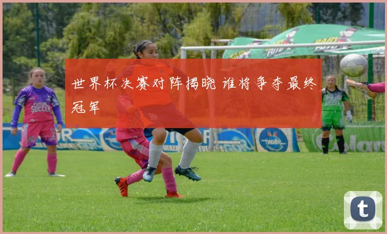 世界杯决赛对阵揭晓 谁将争夺最终冠军