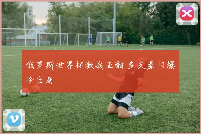 俄罗斯世界杯激战正酣 多支豪门爆冷出局