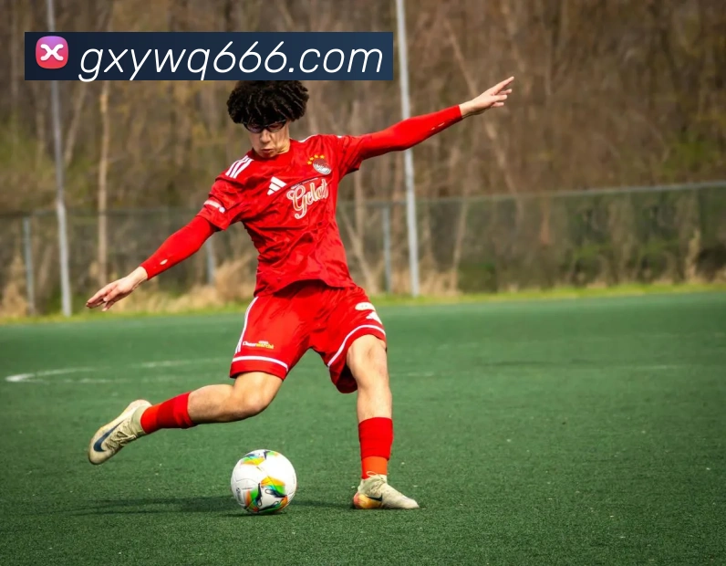 ayx爱游最新官网品牌故事